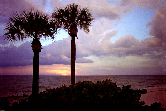 FL_Sunset 07