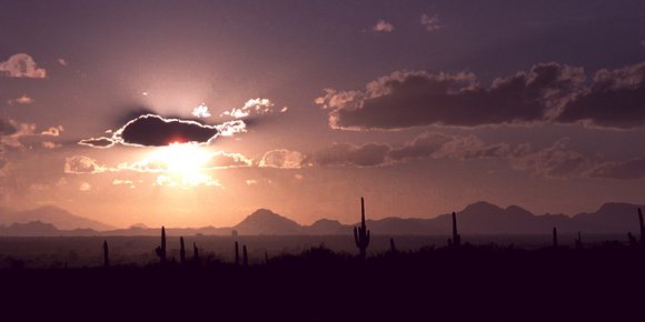 Tucson Sunset Pan