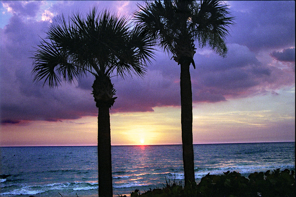 FL_Sunset 06