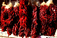 NM_ Chilies 02