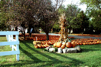 IL_Amish Pumpkin Patch 07